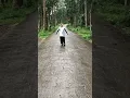 Tante opik nyanyi doong (Tetap tenang di tengah-tengah gempuran orang pada happy sama doi wkwk)