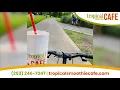 Tropical Smoothie Cafe Kent Food Beverage Juice Bars Smoothies
