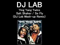Ying Yang Twins - Salt Shaker (DJ Lab Mash-up Remix)