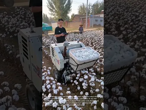 Autonomous Cotton Farming: Remote-Controlled Compact Cotton Harvester in Action