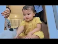 Download Lagu SAYANG HEWAN !!! SIKEMBAR MASIH MAKAN KUCING😍