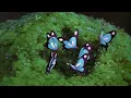 Download Lagu MARINA - Butterfly (Slowed + Reverb)