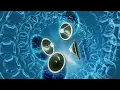 HOT HOT HOT - Sound Effect