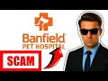 Banfield Pet Hospital Review Is Their Wellness Plan Worth It 2026