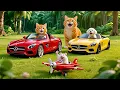 Download Lagu Mama Cat Trims Fur on the Farm and Makes Tiger Hat For Kittens At Home 🐾🎩🐯 | Healing Cat Video