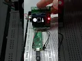 Raspberry Pico OLED Circuitpython