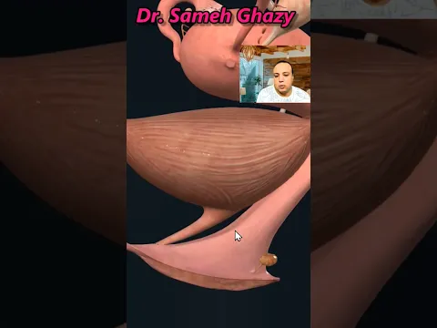 هل يوجد منىّ للمرأة