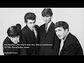 The Beatles - Till There Was You