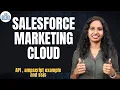 Salesforce Marketing Cloud API ampscript example and ssjs Learn SFMC Course SFMC CyberBrainer