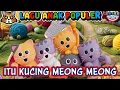 Download Lagu Kucing kucing Lucu, Lagu itu Kucing meong meong - KBeeb #laguanak #anakkucing