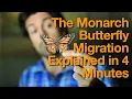 Monarch Butterfly Migration Explained in 4 Minutes