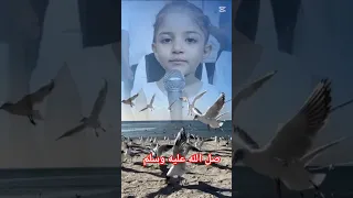 مصطفى مصطفى منبع للصفا اكسبلور Cutebaby تيك توك ترند Hijab مليكة ميار 