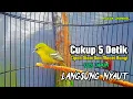 Lagu Pancingan Cipoh Gacor Cukup 5 Detik Cipoh Diam \u0026 MACET Bunyi 100% Jamin Langsung Nyaut...‼️
