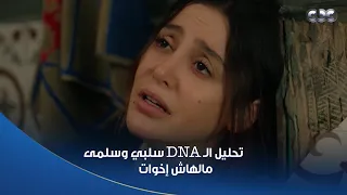 تحليل الـ DNA طلع سلبي وهويدا بتعيط عشان سلمى مالهاش أخت تاني وهتموت مافيش متبرع 