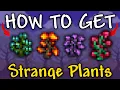 How to Get Strange Plants in Terraria 1 4 4 9 Strange plants terraria