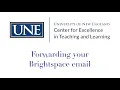 Forwarding your Brightspace email to your UNE account