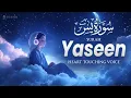 Lagu The Most Healing Surah in the World | Surah Yaseen | Quran for Sleep - Study - Ruqyah | Lofi Quran