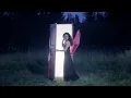 Download Lagu Aniare - I See It Clearly (Official Music Video)
