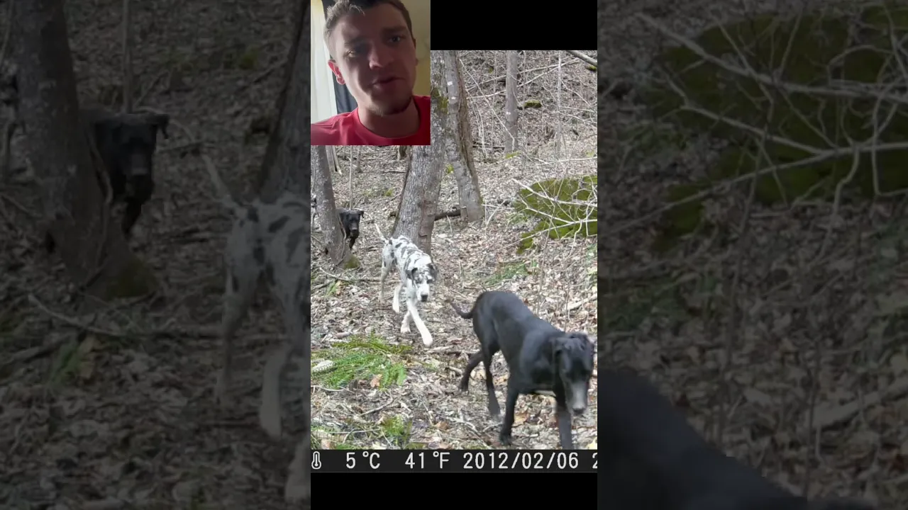 Kendall Gray Vlogs channel featured image