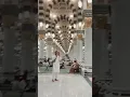 Download Lagu #Nabi K Roze Pr Jane Walton #Masjid e #Nabvi #SAW