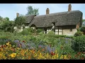 Download Lagu Church bells wood pigeons relaxing bird song ambience