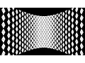 3D Software Rendering Project