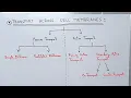 Transport across the Cell Membrane Plasma Membrane Active and Passive Transport