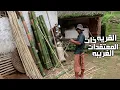 Download Lagu القريه الغريبه في اندونيسيا