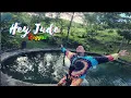 Hey Jude - Beatles | Tropavibes Reggae Cover (San Rafael Alawihaw Eco Farm)