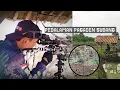 Download Lagu Explore sawah Pagaden Subang _ Benih padi di datangi gerombolan tekukur