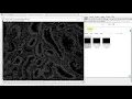 Deep learning-based segmentation for biologists - Data preparation for nuclei segmentation