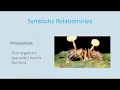 Ecological Relationships