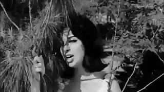 حاله واتس نجاة الصغيره يا رايح للي فايتلي عيوني جميله جدآ  حاله واتس نجاة الصغيره يا رايح للي فايتلي عيوني جميله جدآ