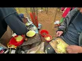 Homeless Build a Winter Home & Cook Soup From Dump Finds
