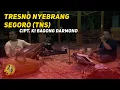 Download Lagu TRESNO NYEBRANG SEGORO (TNS) - BAGONK DARMONO OFFICIAL VIDEO