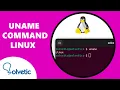 UNAME Command Linux Syntax Terminal with Examples