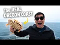 CENTRAL Oregon Coast is UNDERRATED Newport Oregon Things to do eat see