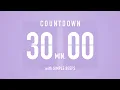 Download Lagu 30 Minute Countdown Timer ⏳ Flip Clock with Bell Alerts 💜🔔
