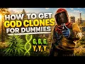 How to Get GOD CLONES for Dummies Rust Farming Guide