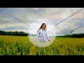 Create Smoother ZOOMS - Ease Keyframes in DaVinci Resolve