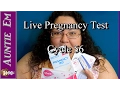 Live Pregnancy Test Cycle 56 10 DPO