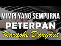 MIMPI YANG SEMPURNA - PETERPAN - KARAOKE || VERSI KOPLO