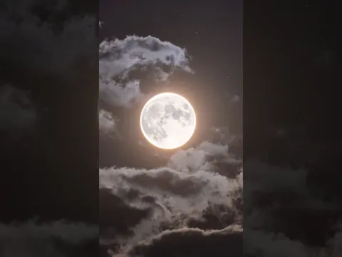 Can Earth Survive Without The Moon 😯