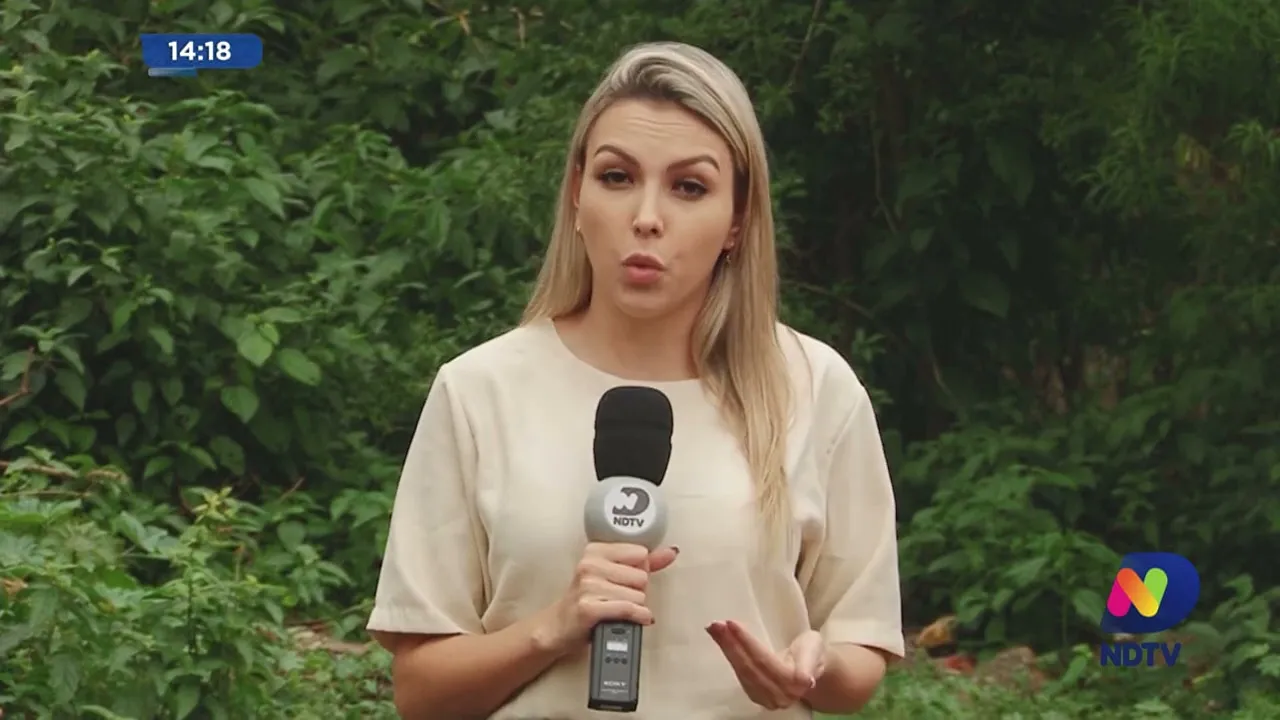 Vidal Ramos: homem é preso após deixar animais acorrentados e sem assistência