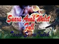 Download Lagu Suara Inap Burung Walet Thailand