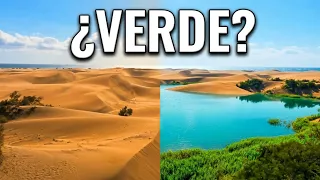 Recién descubiertos en el Sahara: vestigios de un mundo verde perdido