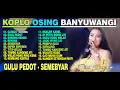 Download Lagu Dini Kurnia - CURIGO - GULU PEDOT - GERIGIS - FULL ALBUM KOPLO OSING BANYUWANGI 2025