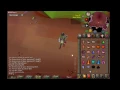 Abyssal Orphan 30 kc first unsired