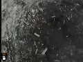 FXE-WEB2142246