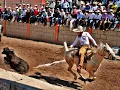 Julion Alvarez- El Toro Viejo